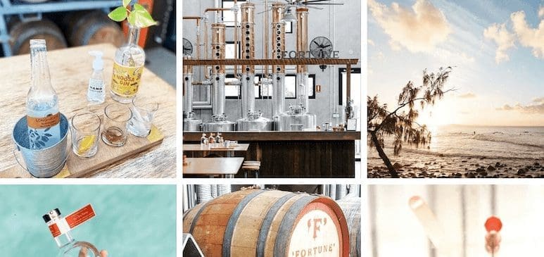 Gin Distillery Sunshine Coast: 7 of the Best You Should Know 5 Noosa Heads Distillery