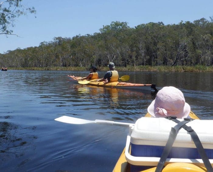 Noosa Everglades Kayak Tours