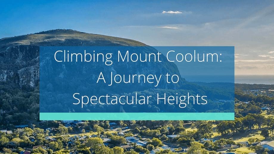 Climbing Mount Coolum