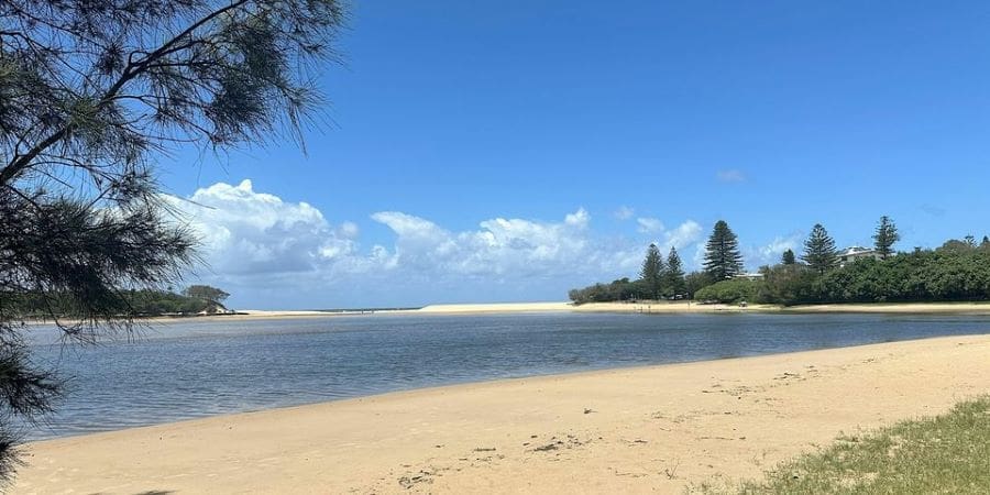 Guided ClimateWatch Trail Walks on the Sunshine Coast