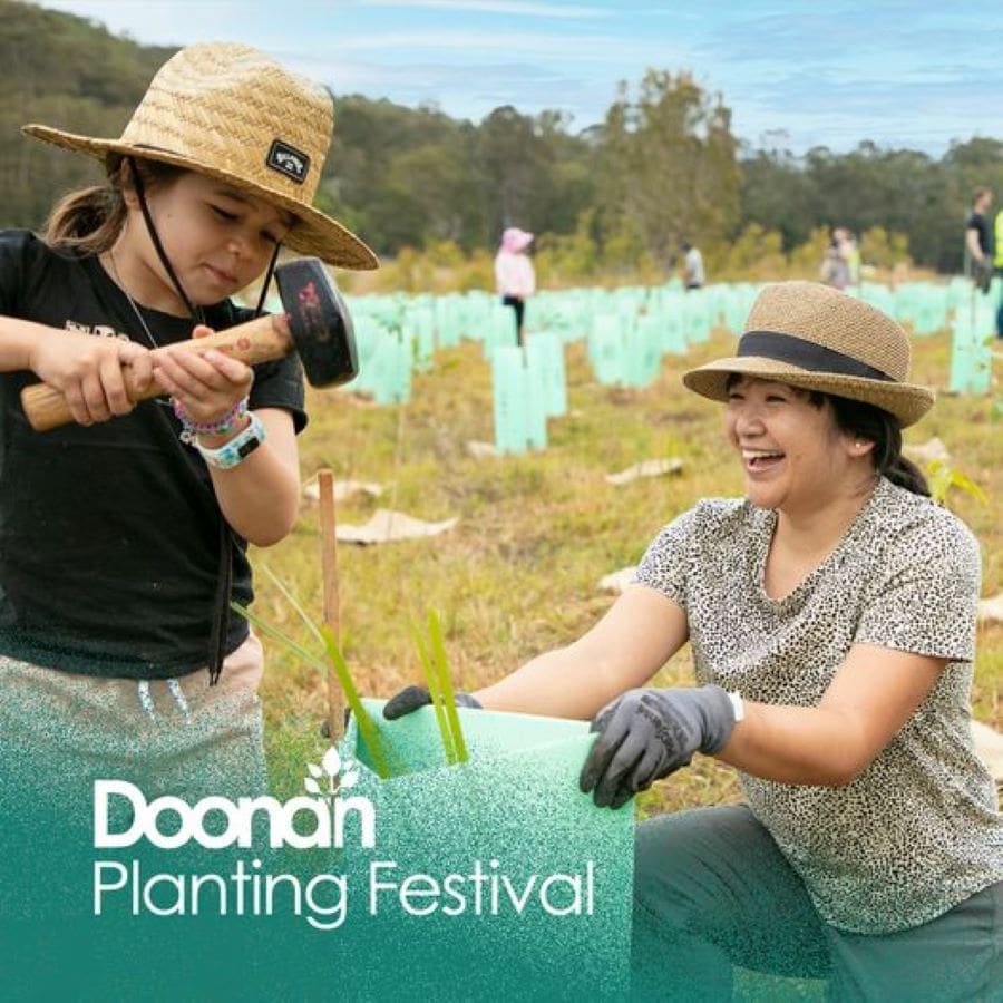 Doonan Planting Festival 2024: Sunshine Coast's Premier National Tree Day Event